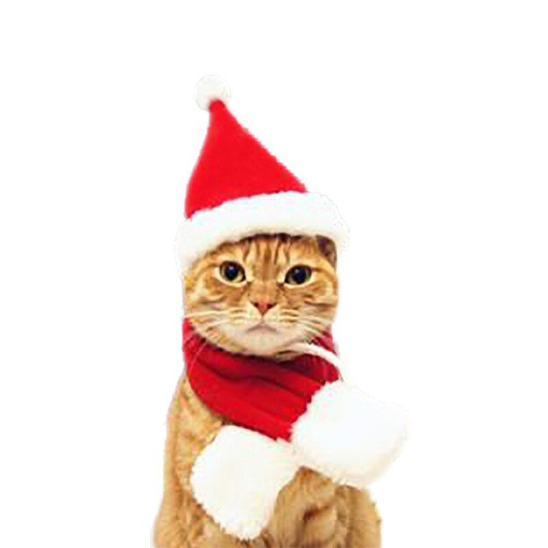 Christmas Santa Hat for Pets