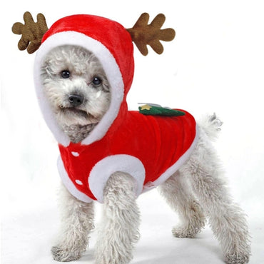 Dog Christmas Jacket