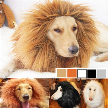 Dogs Fancy Lion Hair